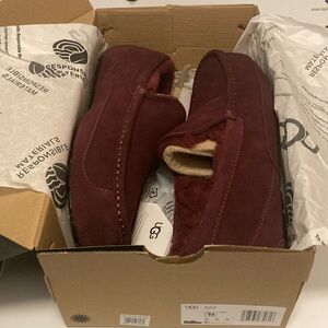 NIB Men’s Ugg Ascot Suede Slipons